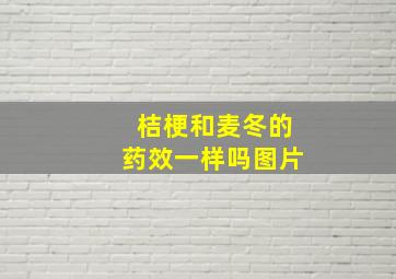 桔梗和麦冬的药效一样吗图片