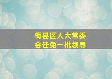 梅县区人大常委会任免一批领导