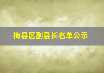 梅县区副县长名单公示