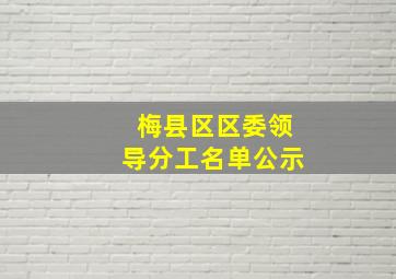 梅县区区委领导分工名单公示