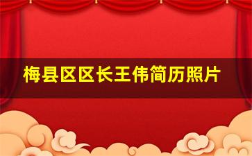 梅县区区长王伟简历照片