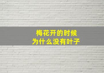 梅花开的时候为什么没有叶子