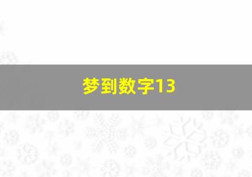 梦到数字13