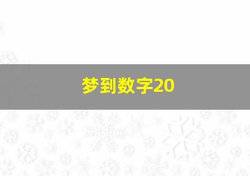 梦到数字20