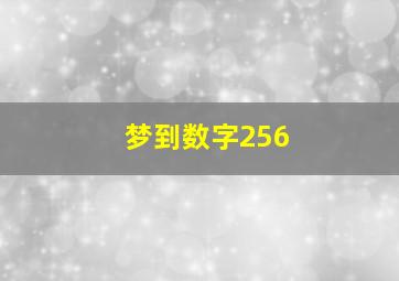 梦到数字256