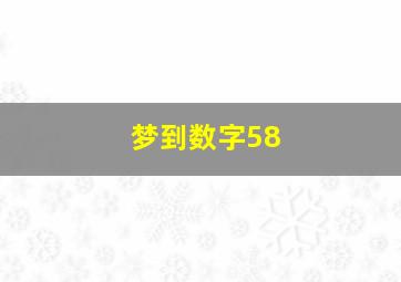 梦到数字58