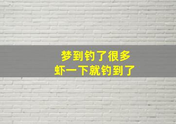 梦到钓了很多虾一下就钓到了