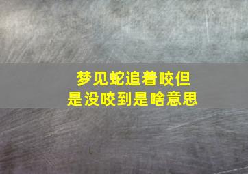 梦见蛇追着咬但是没咬到是啥意思