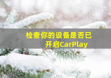 检查你的设备是否已开启CarPlay