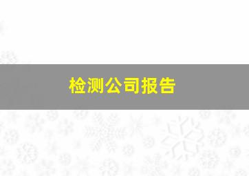 检测公司报告