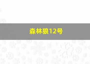 森林狼12号