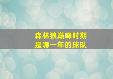 森林狼巅峰时期是哪一年的球队