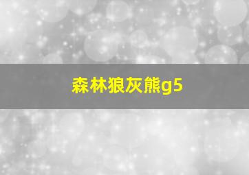 森林狼灰熊g5