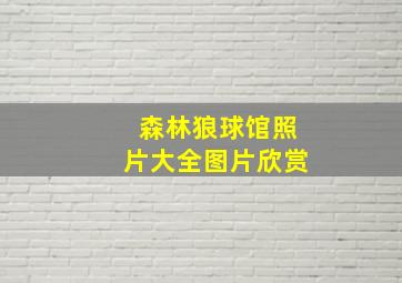 森林狼球馆照片大全图片欣赏