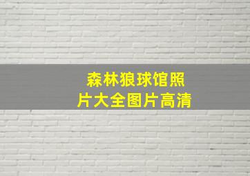 森林狼球馆照片大全图片高清