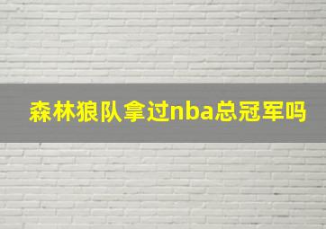 森林狼队拿过nba总冠军吗