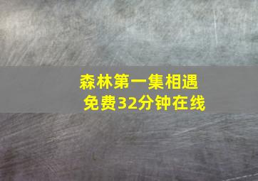 森林第一集相遇免费32分钟在线