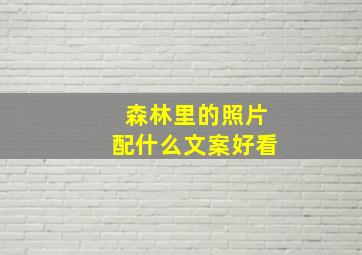 森林里的照片配什么文案好看