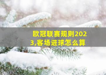 欧冠联赛规则2023,客场进球怎么算