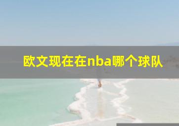 欧文现在在nba哪个球队