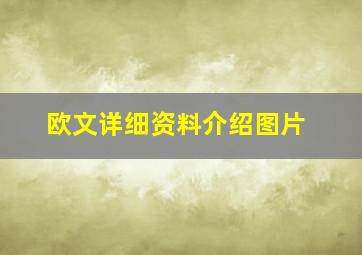 欧文详细资料介绍图片