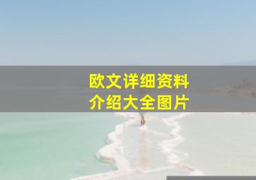 欧文详细资料介绍大全图片