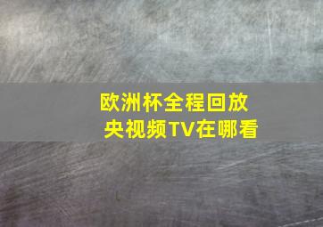 欧洲杯全程回放央视频TV在哪看