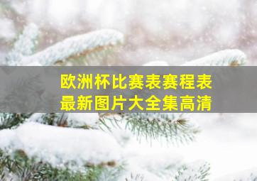 欧洲杯比赛表赛程表最新图片大全集高清