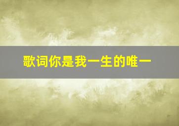 歌词你是我一生的唯一