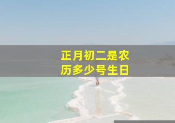 正月初二是农历多少号生日