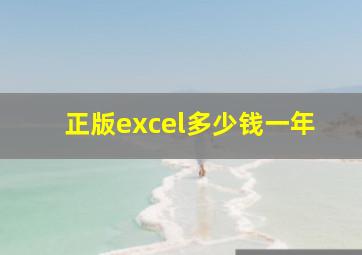 正版excel多少钱一年