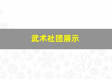 武术社团展示