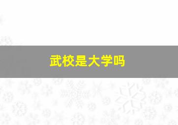 武校是大学吗