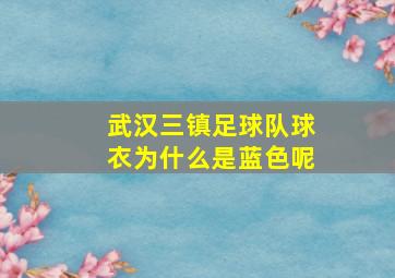 武汉三镇足球队球衣为什么是蓝色呢