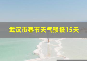 武汉市春节天气预报15天