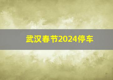 武汉春节2024停车