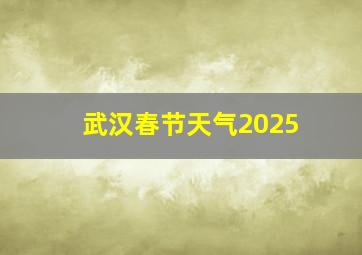 武汉春节天气2025