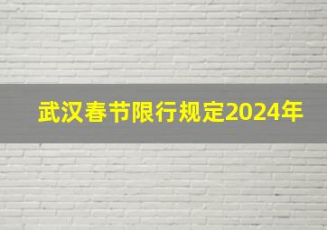 武汉春节限行规定2024年