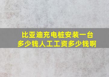 比亚迪充电桩安装一台多少钱人工工资多少钱啊