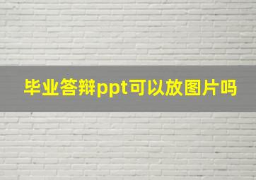 毕业答辩ppt可以放图片吗