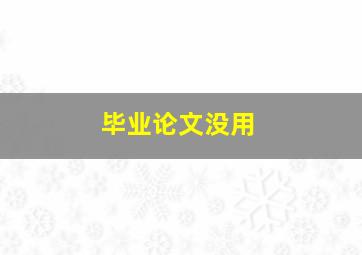 毕业论文没用