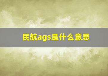 民航ags是什么意思