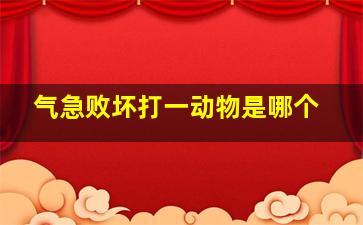 气急败坏打一动物是哪个