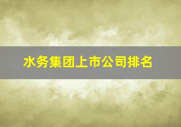 水务集团上市公司排名