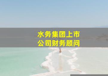 水务集团上市公司财务顾问