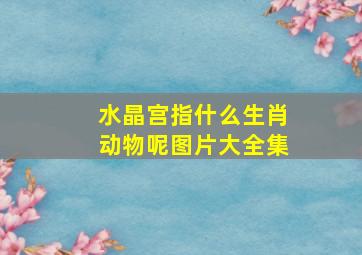 水晶宫指什么生肖动物呢图片大全集