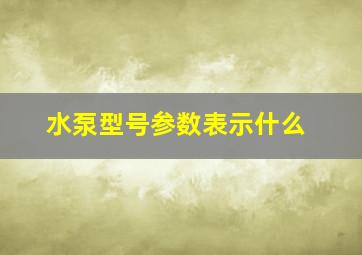 水泵型号参数表示什么