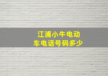 江浦小牛电动车电话号码多少