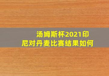 汤姆斯杯2021印尼对丹麦比赛结果如何