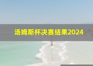 汤姆斯杯决赛结果2024